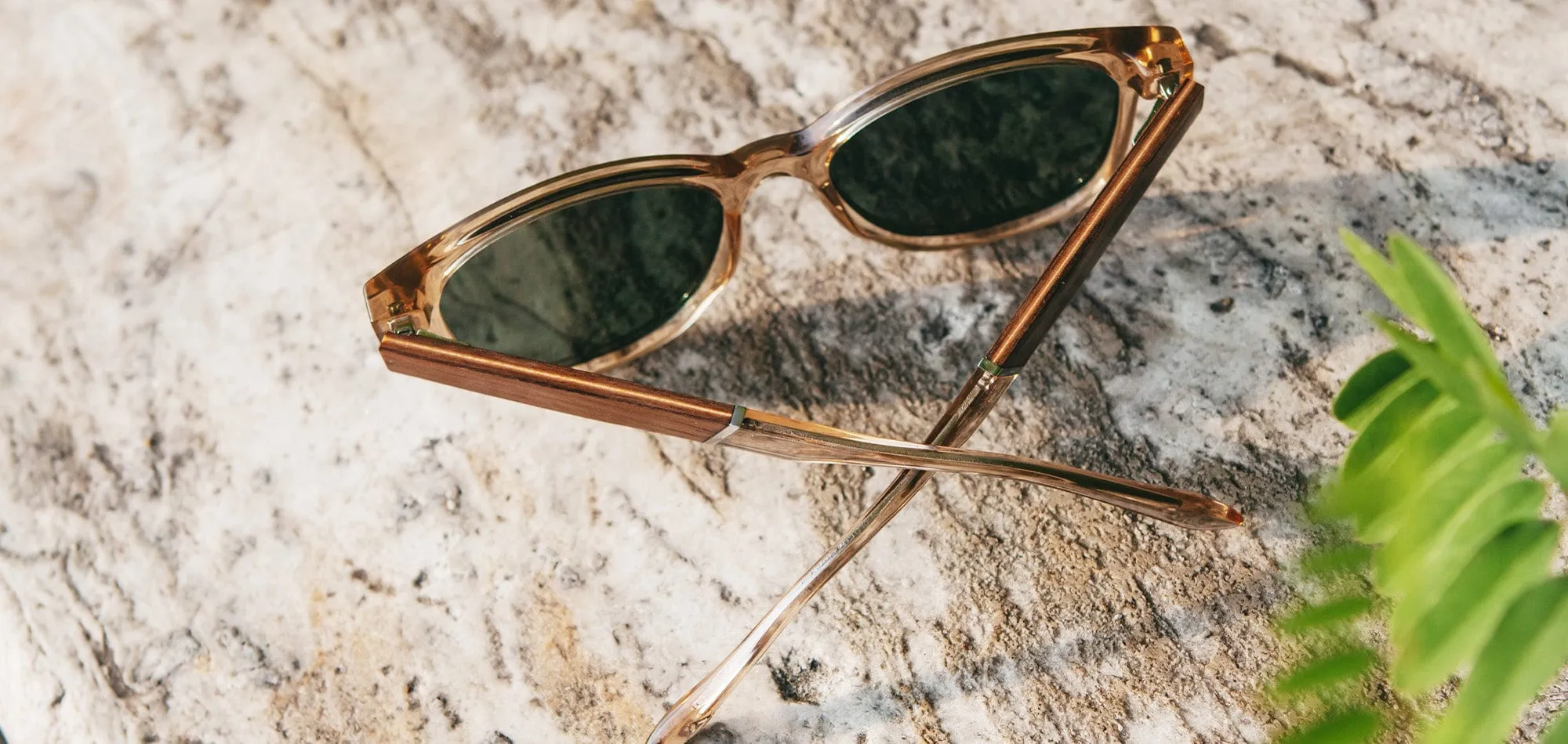 CAMP Cove Sunglasses
