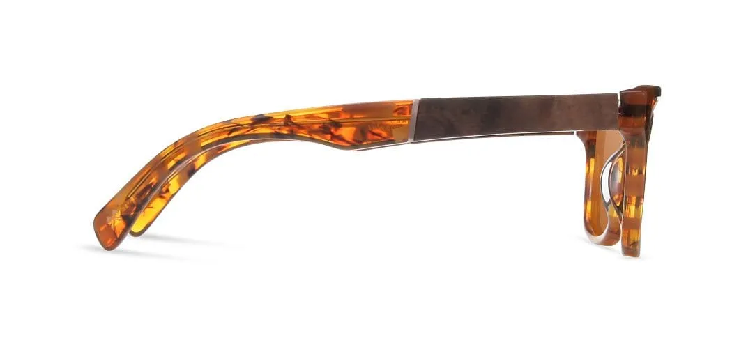 Canby Acetate Sunglasses
