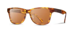 Canby Acetate Sunglasses