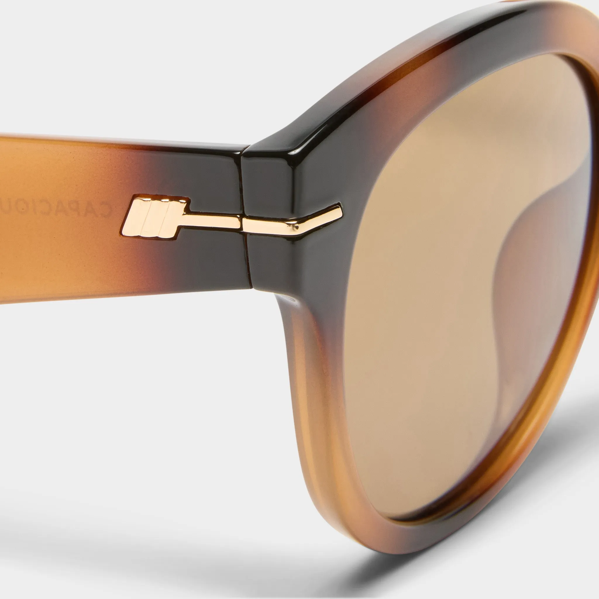 CAPACIOUS | TORT