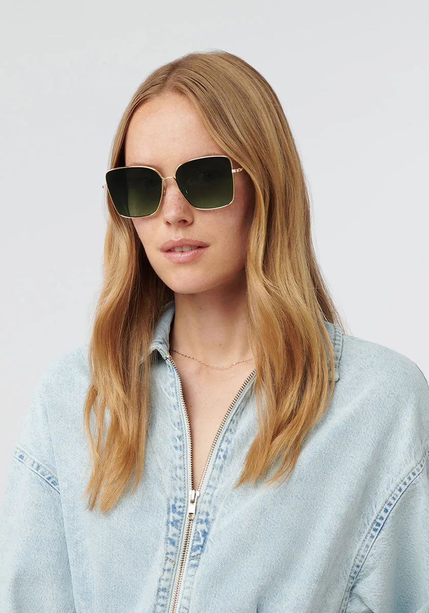 DOLLY | 24K   Sweet Tea Polarized