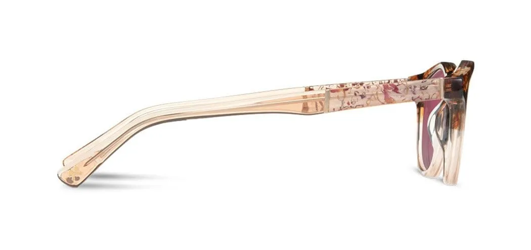 Francis Acetate Sunglasses