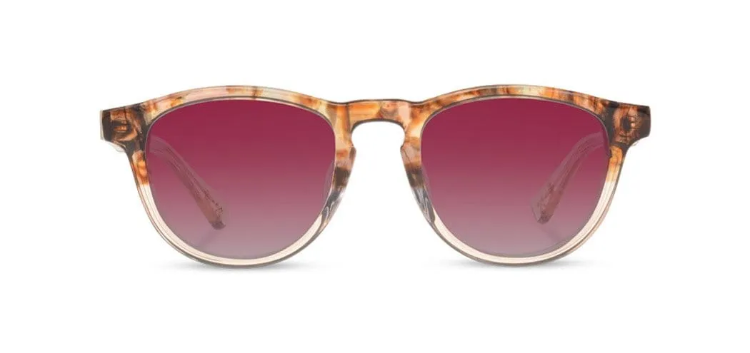 Francis Acetate Sunglasses
