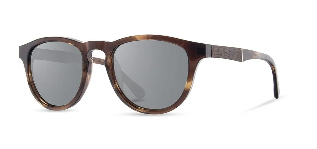 Francis Acetate Sunglasses
