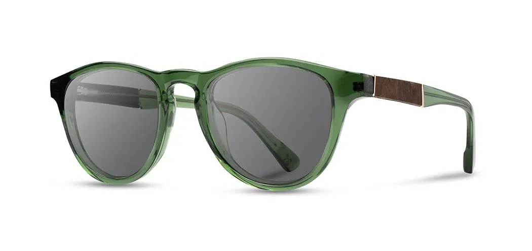 Francis Acetate Sunglasses