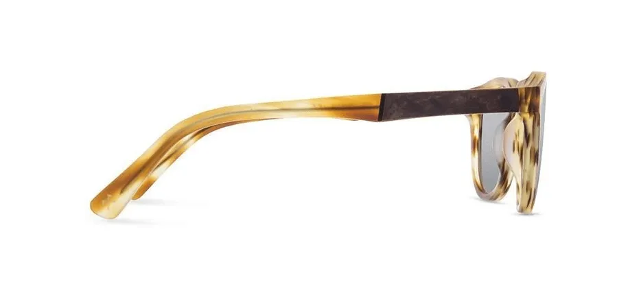 Francis Acetate Sunglasses