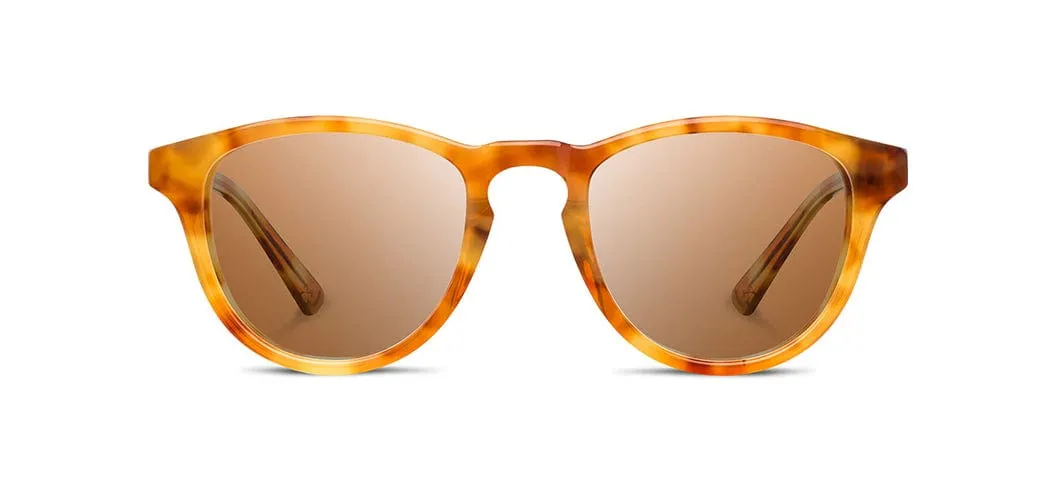 Francis Acetate Sunglasses