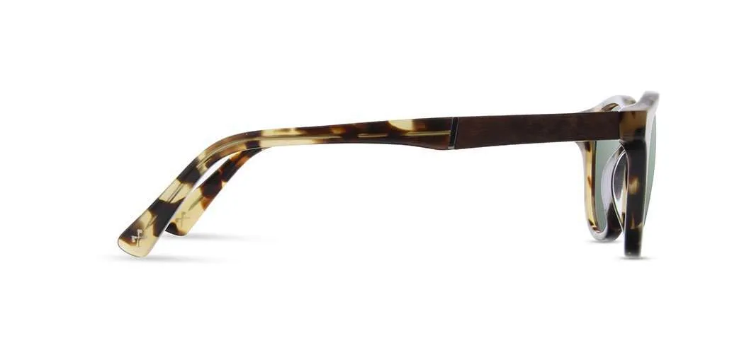 Francis Acetate Sunglasses