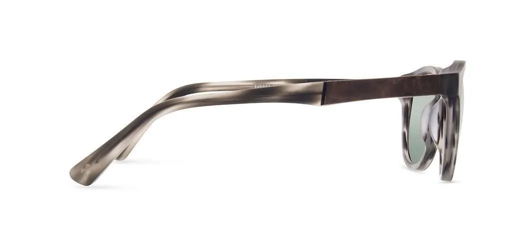 Francis Acetate Sunglasses