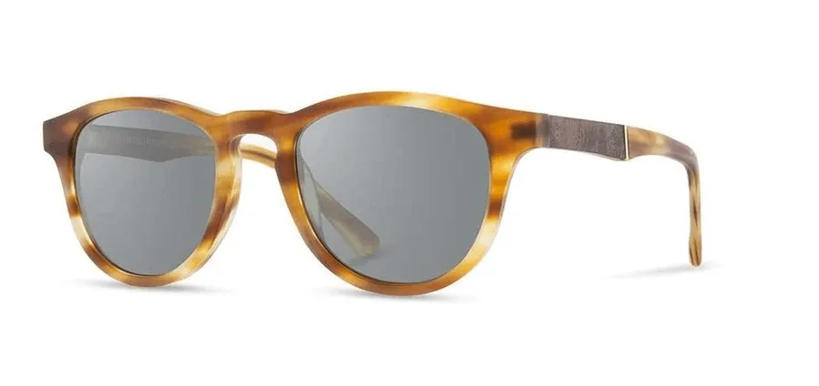 Francis Acetate Sunglasses
