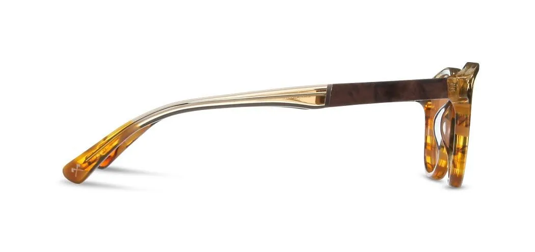 Francis Acetate Sunglasses