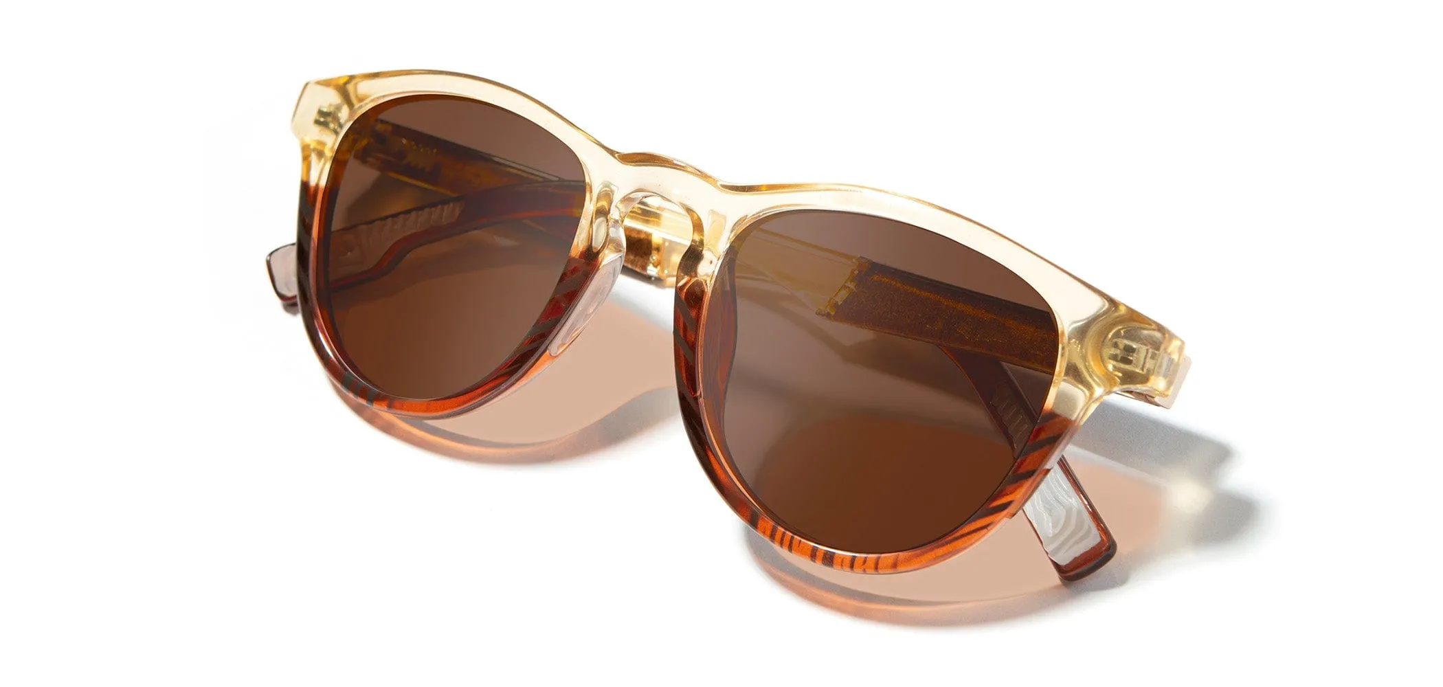 Francis ACTV Sunglasses