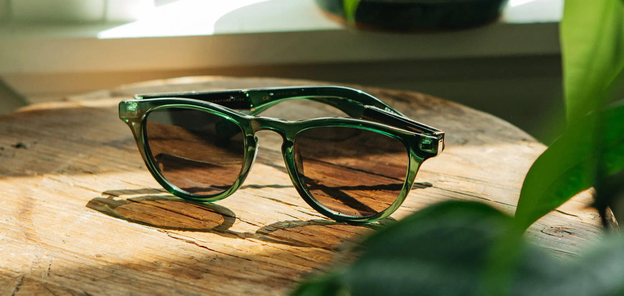 Francis ACTV Sunglasses