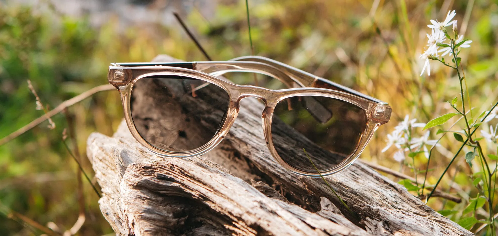 Francis ACTV Sunglasses