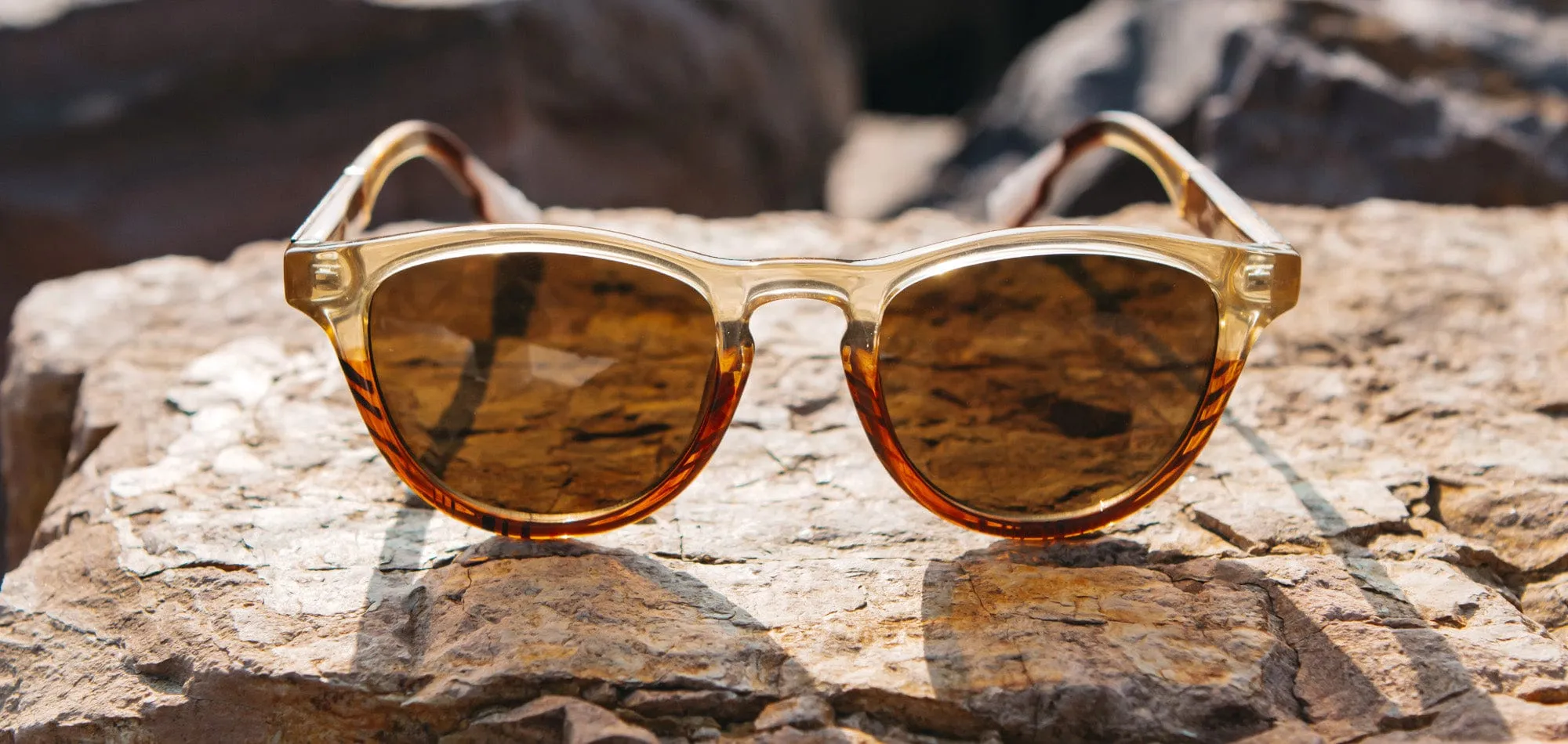 Francis ACTV Sunglasses