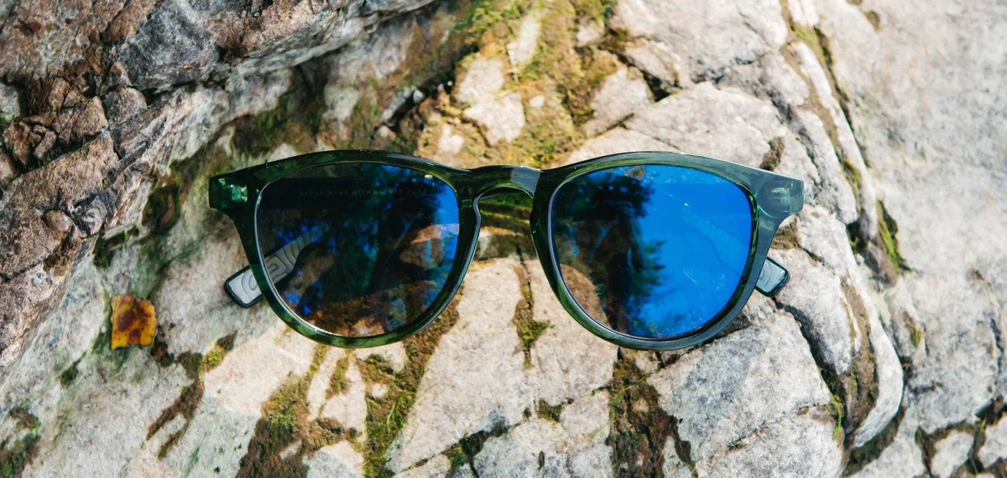 Francis ACTV Sunglasses