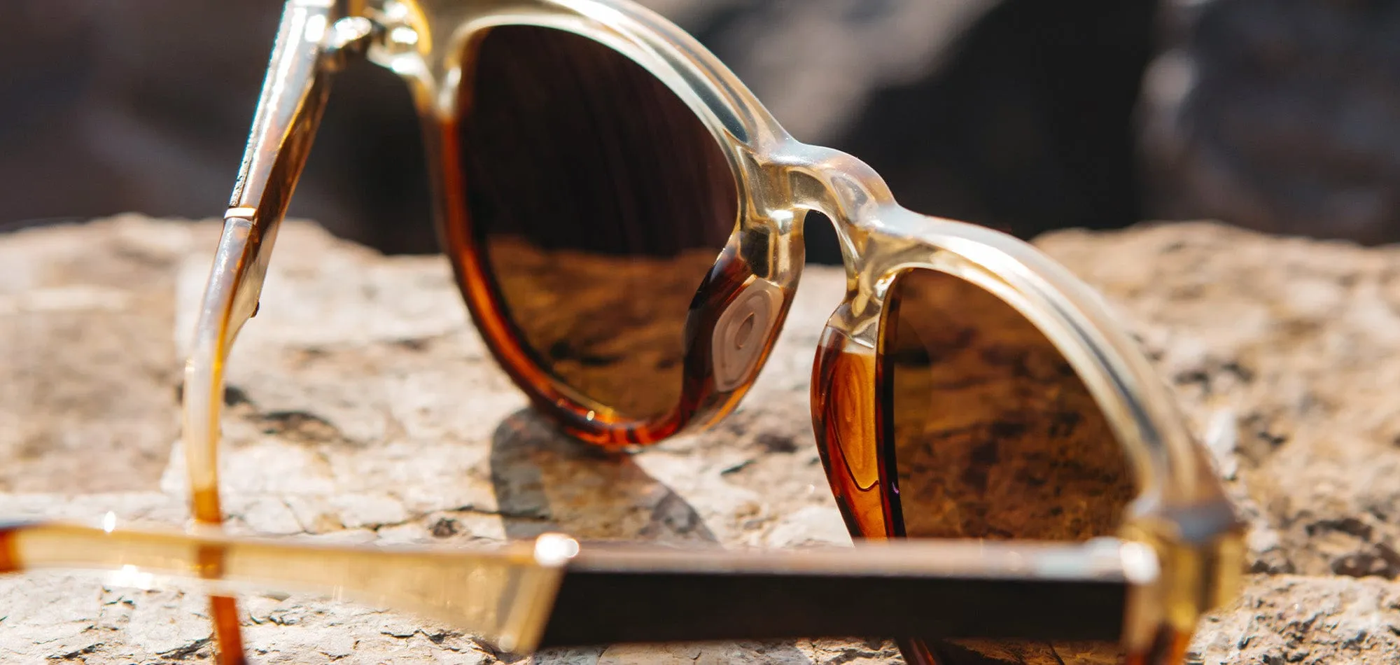 Francis ACTV Sunglasses