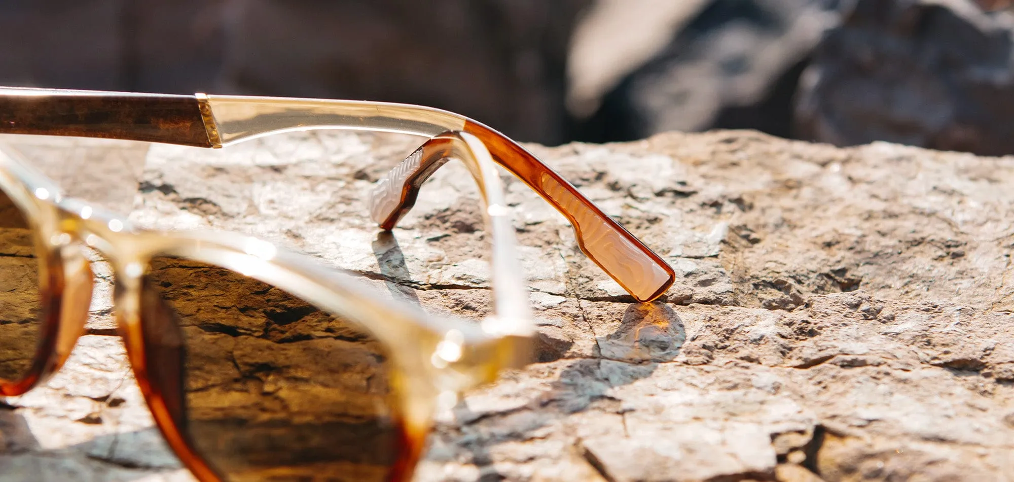 Francis ACTV Sunglasses