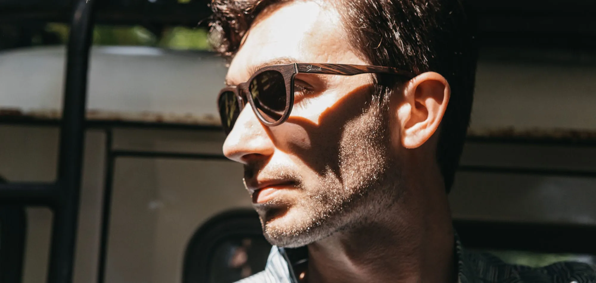 Francis Wood Sunglasses