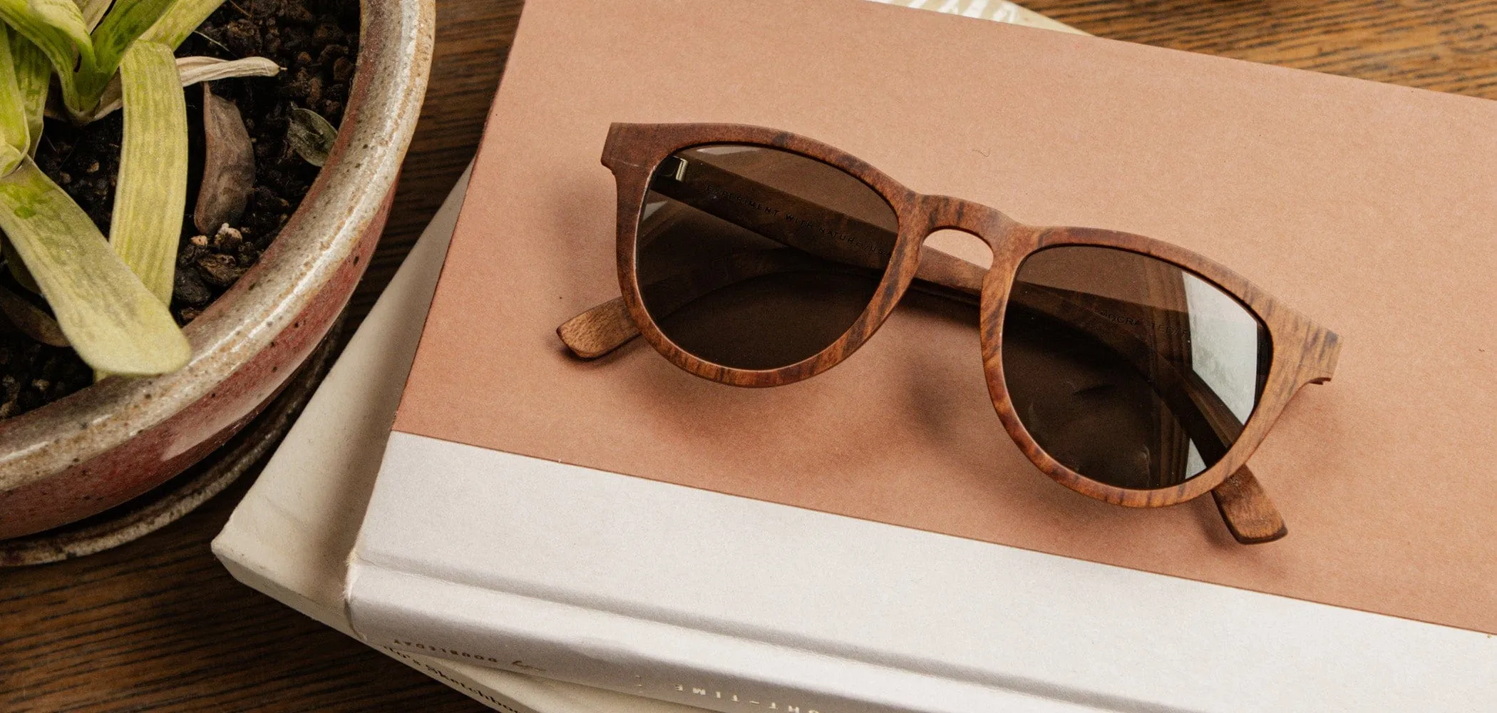 Francis Wood Sunglasses