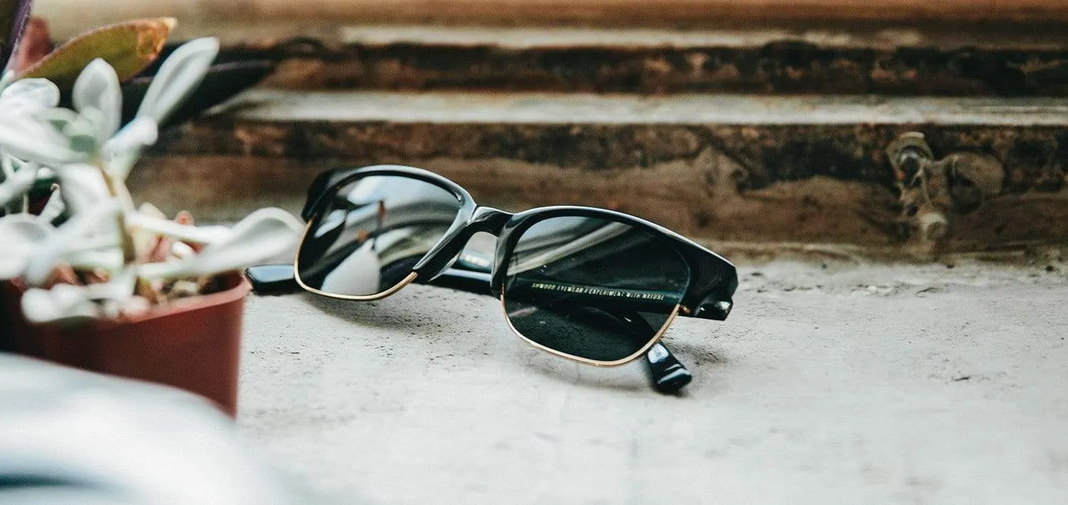 Newport 52mm Acetate Sunglasses