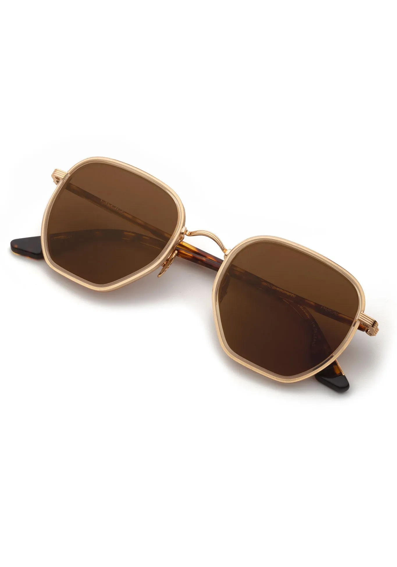 PASCAL | 18K Titanium   Champagne   Rue Tortoise Polarized