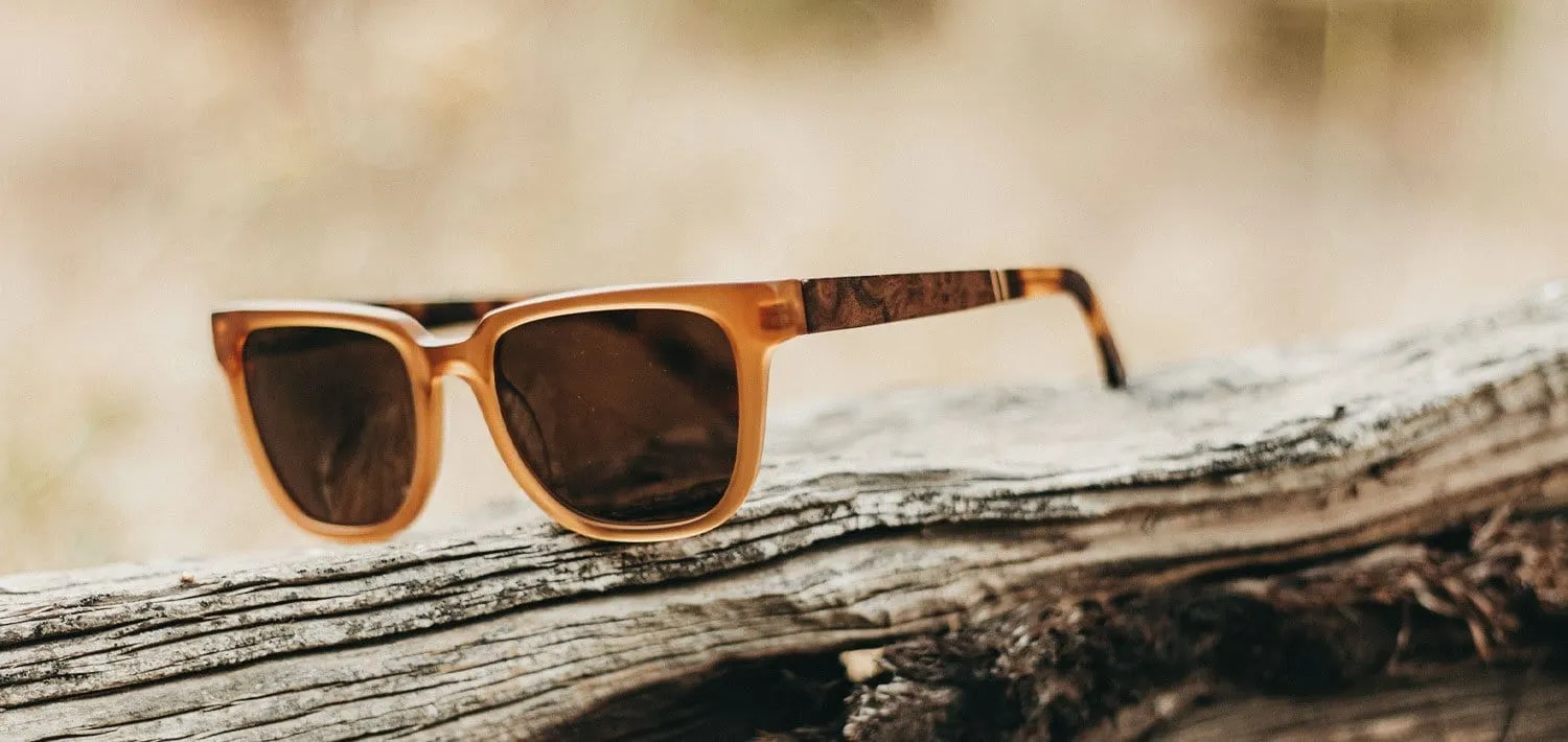 Prescott Acetate Sunglasses
