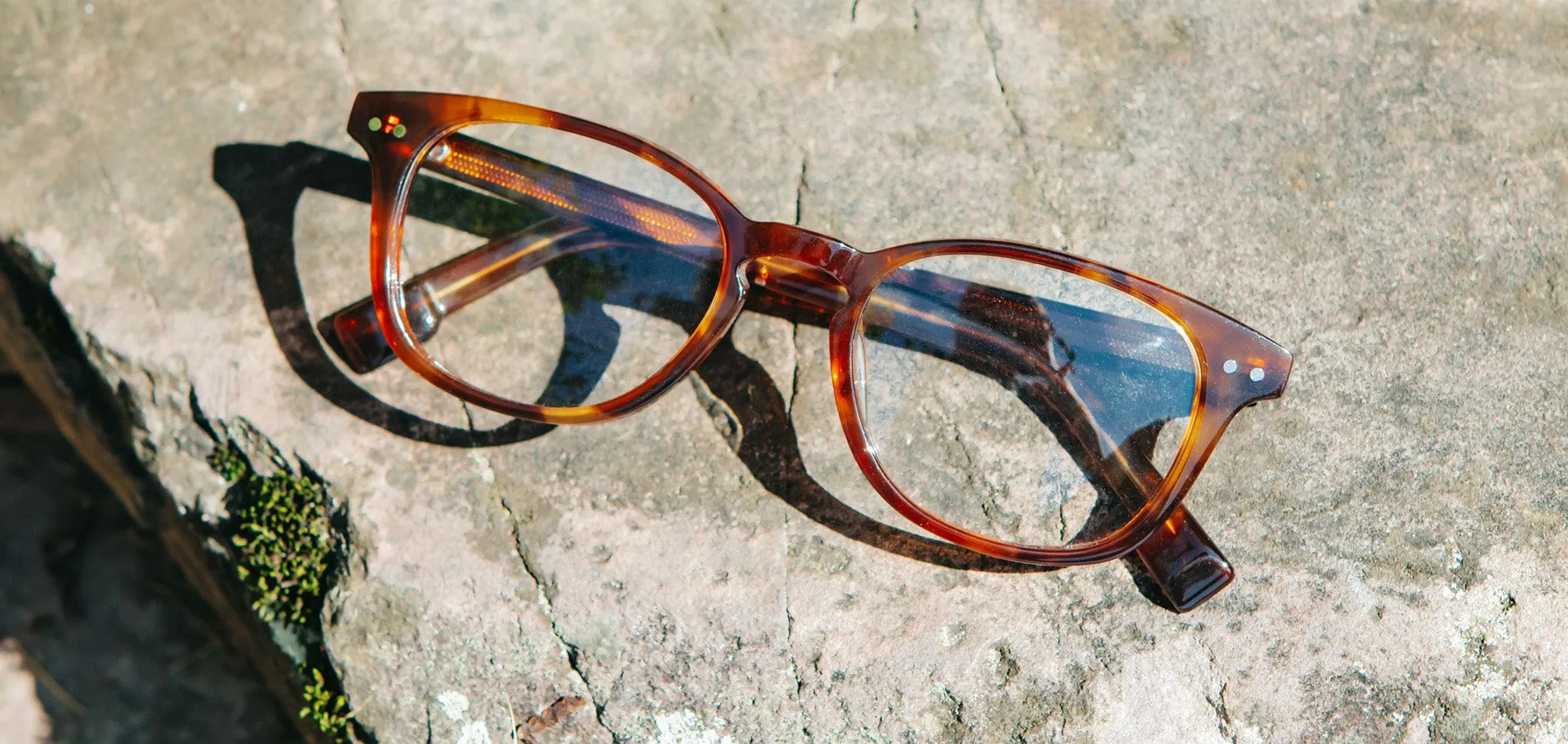 Quimby 50mm Acetate RX Eyeglasses