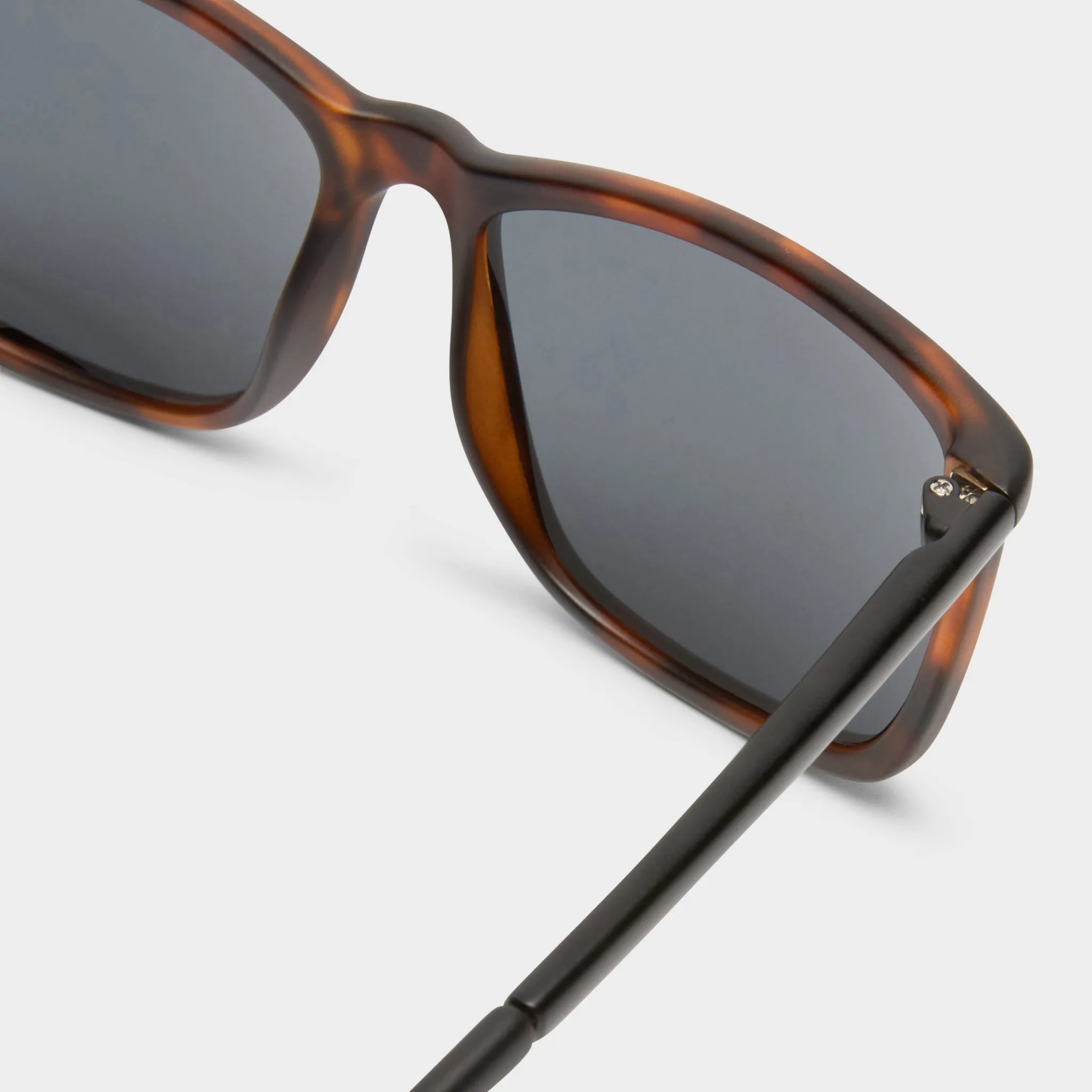 TWEEDLEDUM | MATTE TORT MATTE BLACK